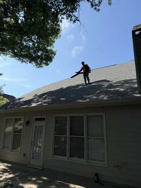 Cleared Shingle Setback (After Pruning)