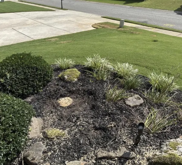 Subterranean Stump Grinding Below Grade