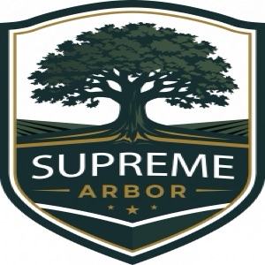 Supreme Arbor — certified arborist tree removal Canton GA